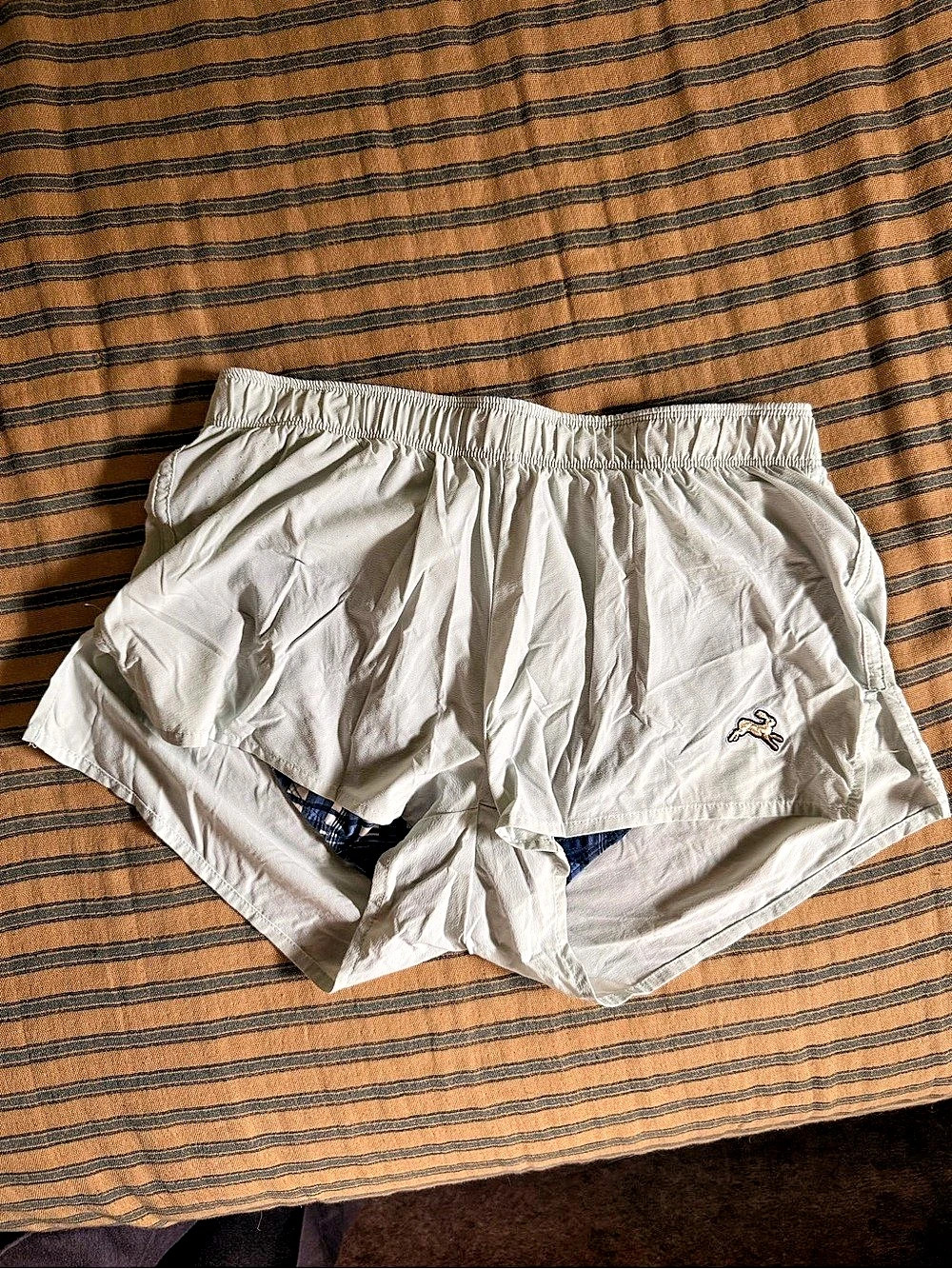 Tracksmith Plaid Lined Shorts Size Small